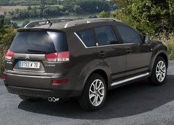 Citroen C-Crosser, Lampy, Tył