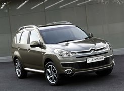 Citroen C-Crosser, Płyta, Ochronna