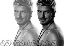 David Beckham, Z, Profilu