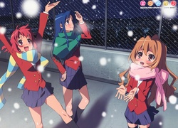 Toradora, Anime