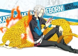 Katekyo Hitman Reborn, Gokudera