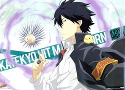 Katekyo Hitman Reborn, Hibari