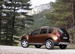 Lewy, Tył, Dacia Duster, Las