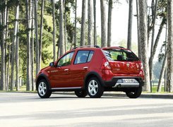 Bordowa, Dacia Sandero, Las