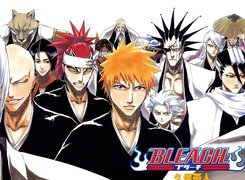 Bohaterowie, Z, Bleach