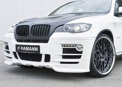 X6, Hamann