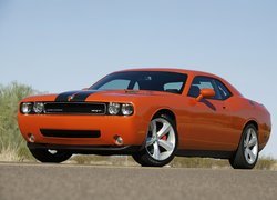Dodge Challenger, Koła, Asfalt