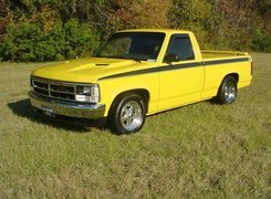 Żółty, Dodge Dakota, Pick-Up