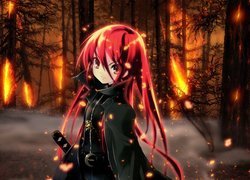 Shakugan No Shana, Liedfound