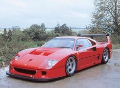 Ferrari F 40, Dokładka, Zderzaka, Deszcz