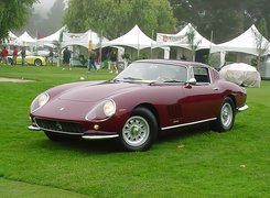 Bordowe, Ferrari 275, Zlot