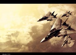 Ace Combat, Symulacja