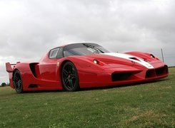 Ferrari FXX, Reflektory, Trawa