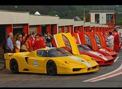 Zlot, Posiadaczy, Ferrari FXX