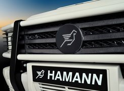 Logo, Hamann, Karbon