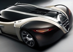 Peugeot 4002, Concept, Car