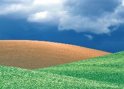 łąka