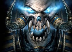 World Of Warcraft, Skull