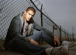 Wentworth Miller, Więzienie