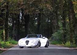 Biały, Wiesmann MF3, Droga