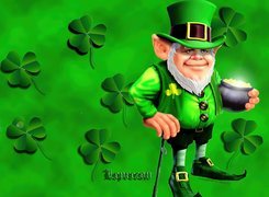 Leprecon, Irlandzki, Skrzat