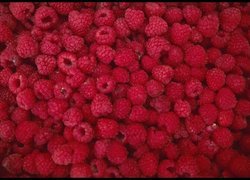 Maliny