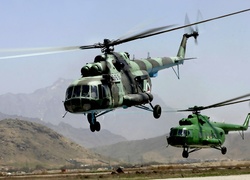 Mi-17, Helikopter, Transportowy