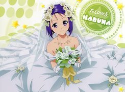 To Love-Ru, Haruna, Suknia, Ślubna