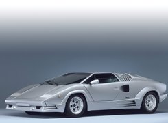 Lamborghini Countach, Masywne, Wloty