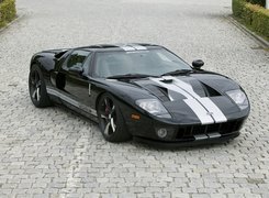 Ford GT, Wloty, Maska