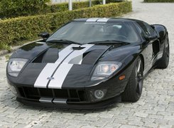 Ford GT, Sportowa, Linia, Nadwozia