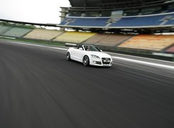 Audi TT, Tor, Wyścigowy