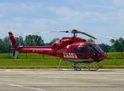 Eurocopter AS-355 Ecureuil, Wiewiórka