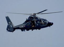 Eurocopter AS-365N Dauphin, Marine