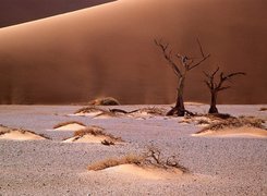 Namib, Afryka