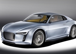 Audi e-Tron, Roadster