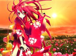 Shakugan No Shana, Kwiatki