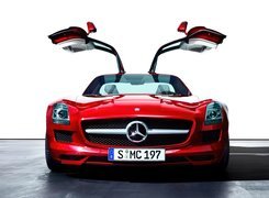 Mercedes Benz SLS, Unoszone, Drzwi