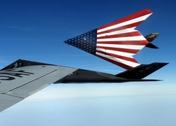 F-117 Nighthawk, Flaga, USA