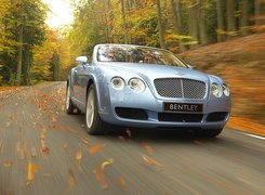 Bentley Continental GTC, Liście, Jesień