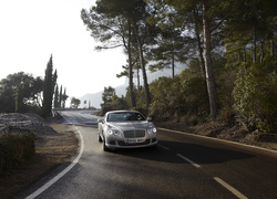 Bentley Continental, Kręta, Droga