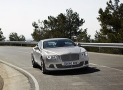 Bentley Continental GT, Profilowana, Maska