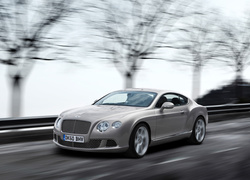 Bentley Continental GT, Sportowy, Samochód