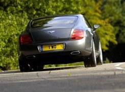 Bentley Continental GT, Profil, Opon