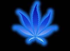 Niebieski, Liść, Marihuany