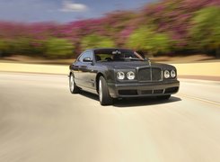 Przód, Bentley Brooklands