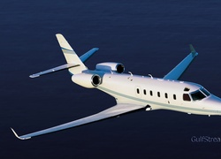 GulfStream G-100, Skrzydła