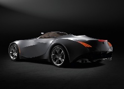 BMW Gina Light Visionary, Concept, 2008