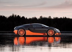 Bugatti Veyron, Wersja, 16.4 Super Sport