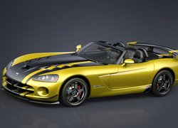 Dodge Viper, Special, Spojler